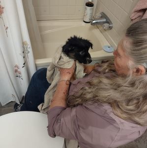 Meet your Posher, Craig